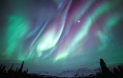 8D7N Winter Finland Adventure