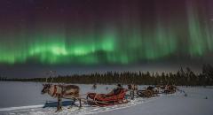 5D4N Lapland of Finland in winter