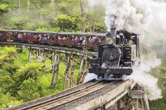 4D3N Melbourne Highlights