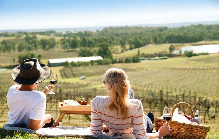 2D1N Hunter Valley with picnic among the vines
