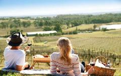 2D1N Hunter Valley with picnic among the vines