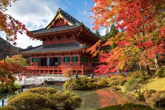 Private Tokyo’s Timeless Elegance | 7D6N Tokyo