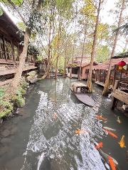 6D5N Taiwan Nature & Wellness Escape - Private