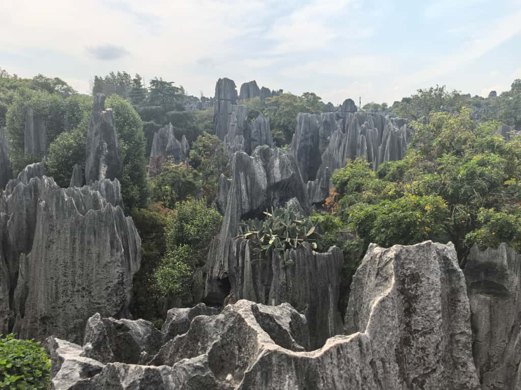 1 Day Private Tour of Stone Forest  - Min 4 to go