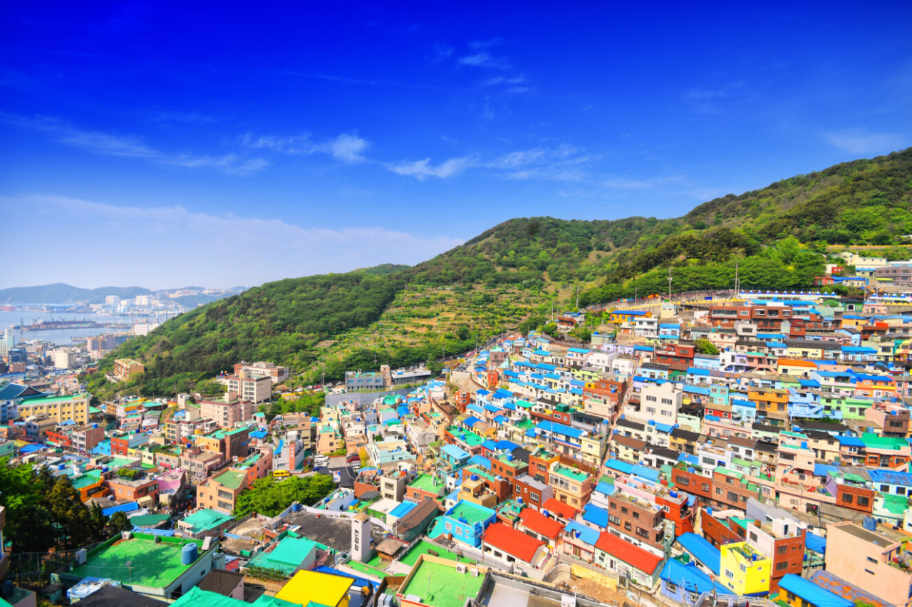 4D3N Busan Yacht Tour + Gyeongju Private Tour (Limited period)