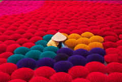 6D5N Vibrant Hanoi + Quang Phu Cau