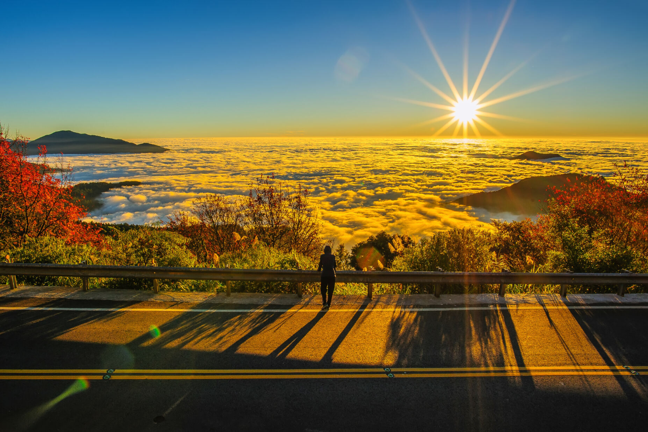 7D6N Adventure Alishan Tour (Every Sun only) - SIC
