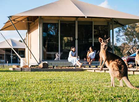 3D2N Glamping at Habitat Noosa, Sunshine Coast Queensland