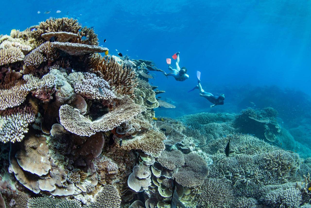 Great Barrier Reef Scenic Flight Lady Elliot Island from Hervey Bay ...