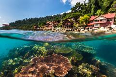 3 DAYS 2 NIGHT PANUBA INN RESORT TIOMAN ~ COACH & FERRY