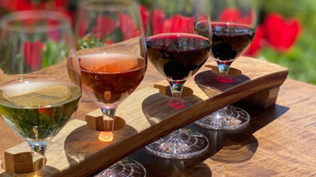 Vineyard Wine Flight - Beamsville Tasting Room 