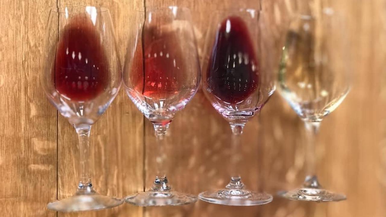 Wine Flight - Jordan Village Tasting Room 