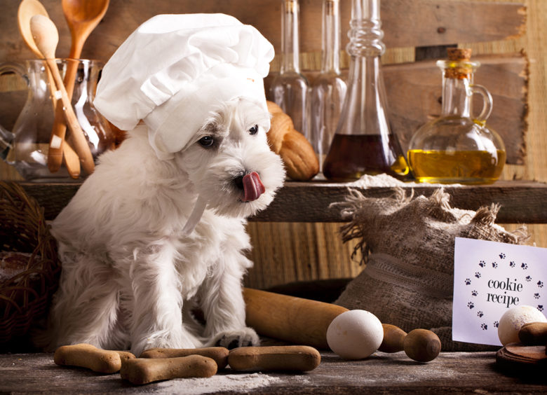 Hoboken:  **NEW!**  Pet Treats Featuring Pet Culinary Specialist MyMochi