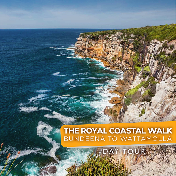 Eagle Rock Royal National Park - Sydney Coast Walks