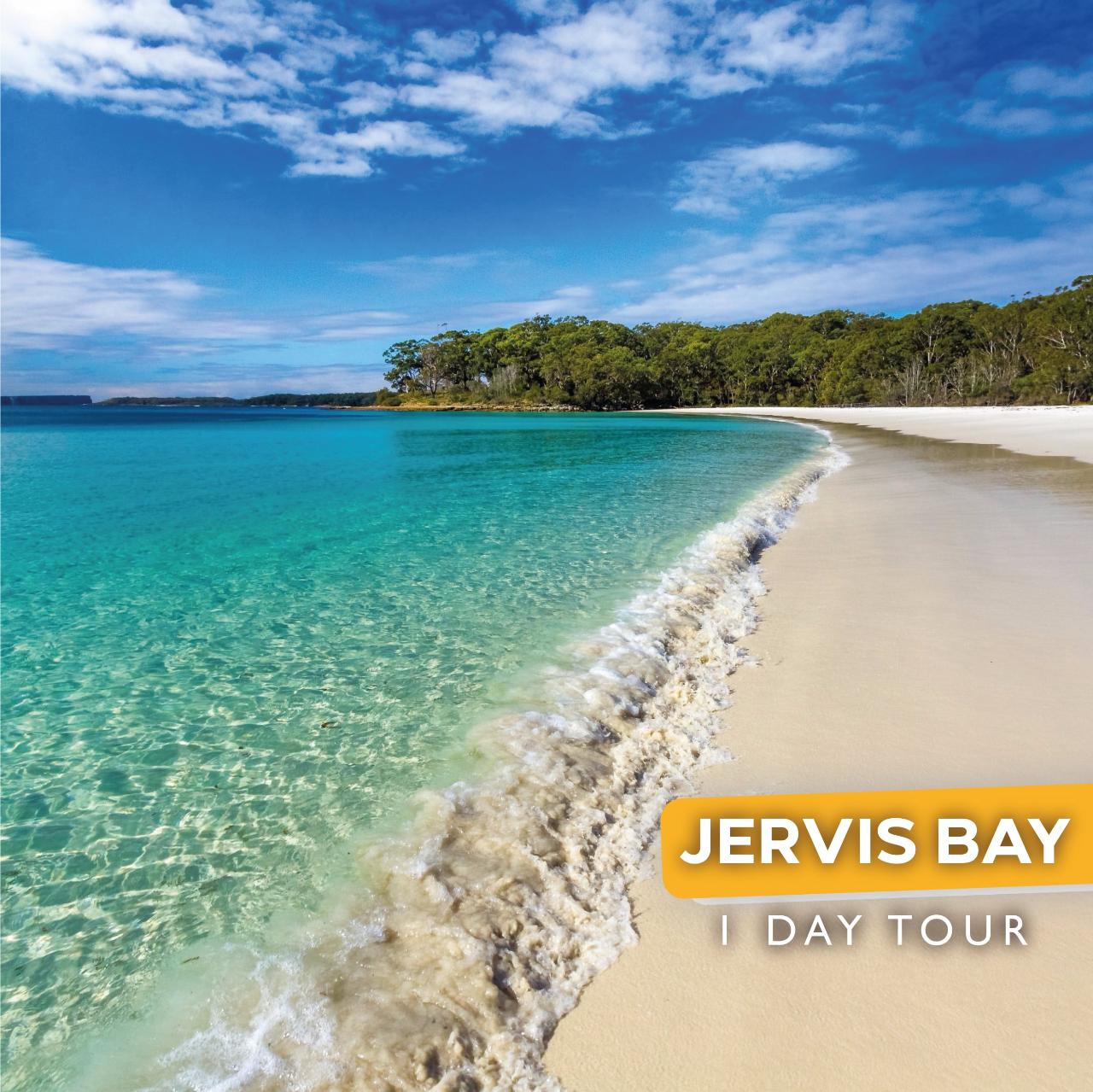Jervis Bay & Dolphins Cruise - One Day Tour