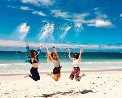 Jervis Bay Tour with Dolphins, Kangaroos & World's Whitest Beach