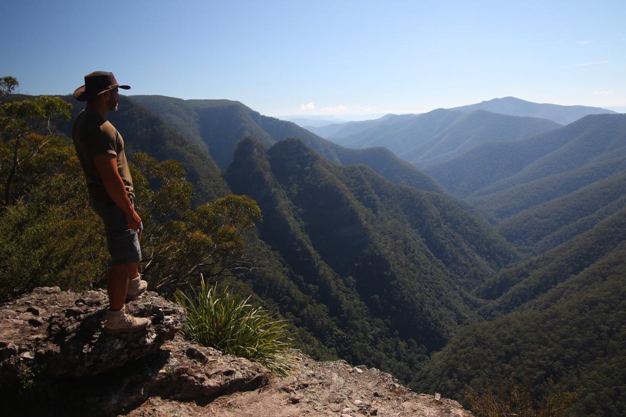 Blue Moutains & Featherdale - Day Tour