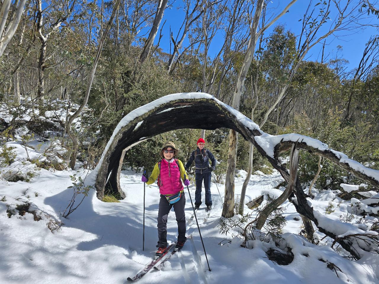 Nordic BC ski touring FULL DAY @ Dinner Plain