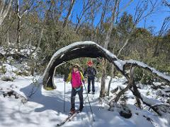 Nordic BC ski touring FULL DAY @ Dinner Plain