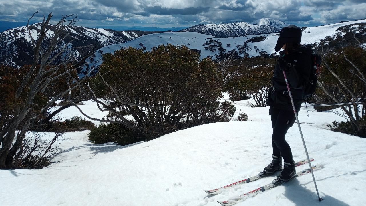 Nordic BC ski touring @ Hotham