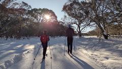 Improver XC lesson/tour @ Dinner Plain