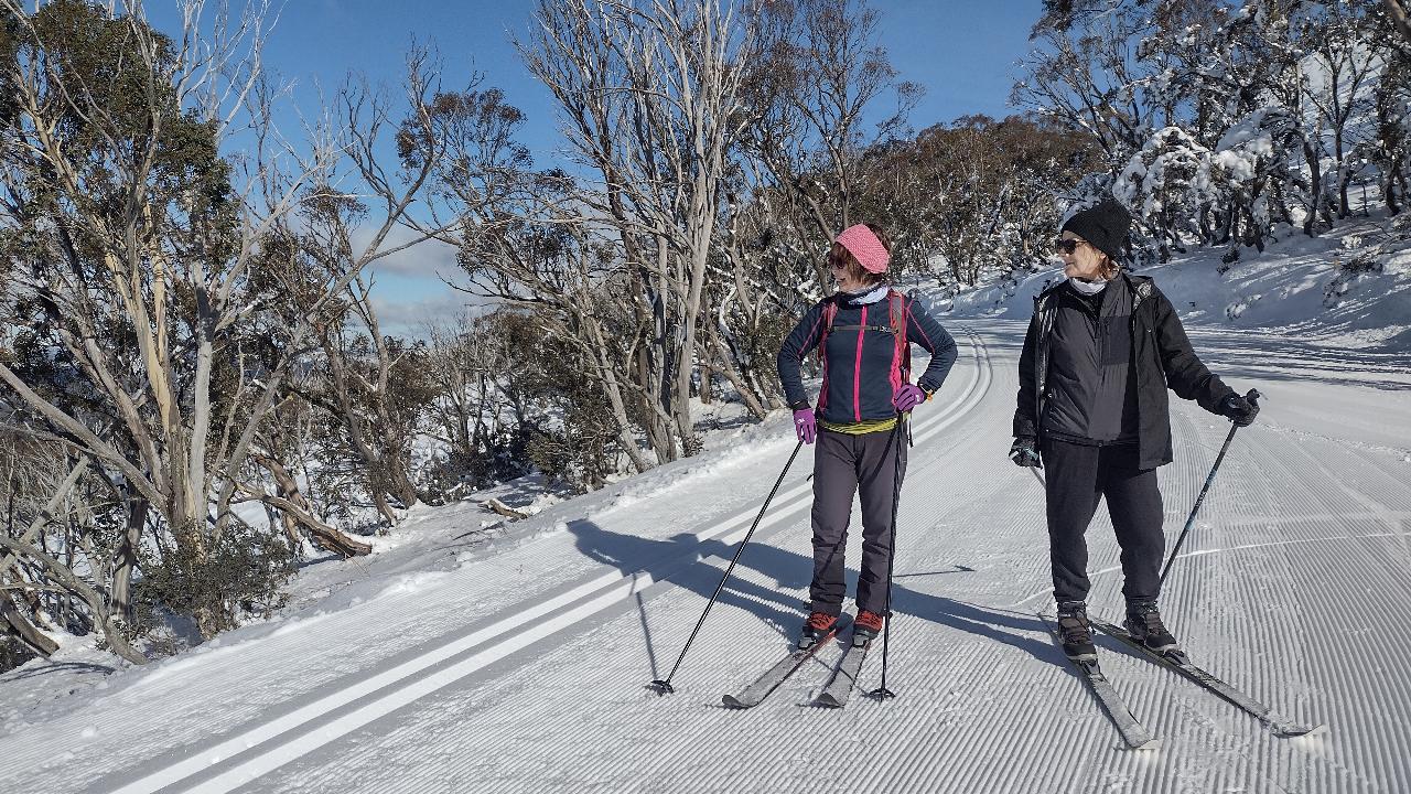 Improver XC lesson/tour @ Hotham
