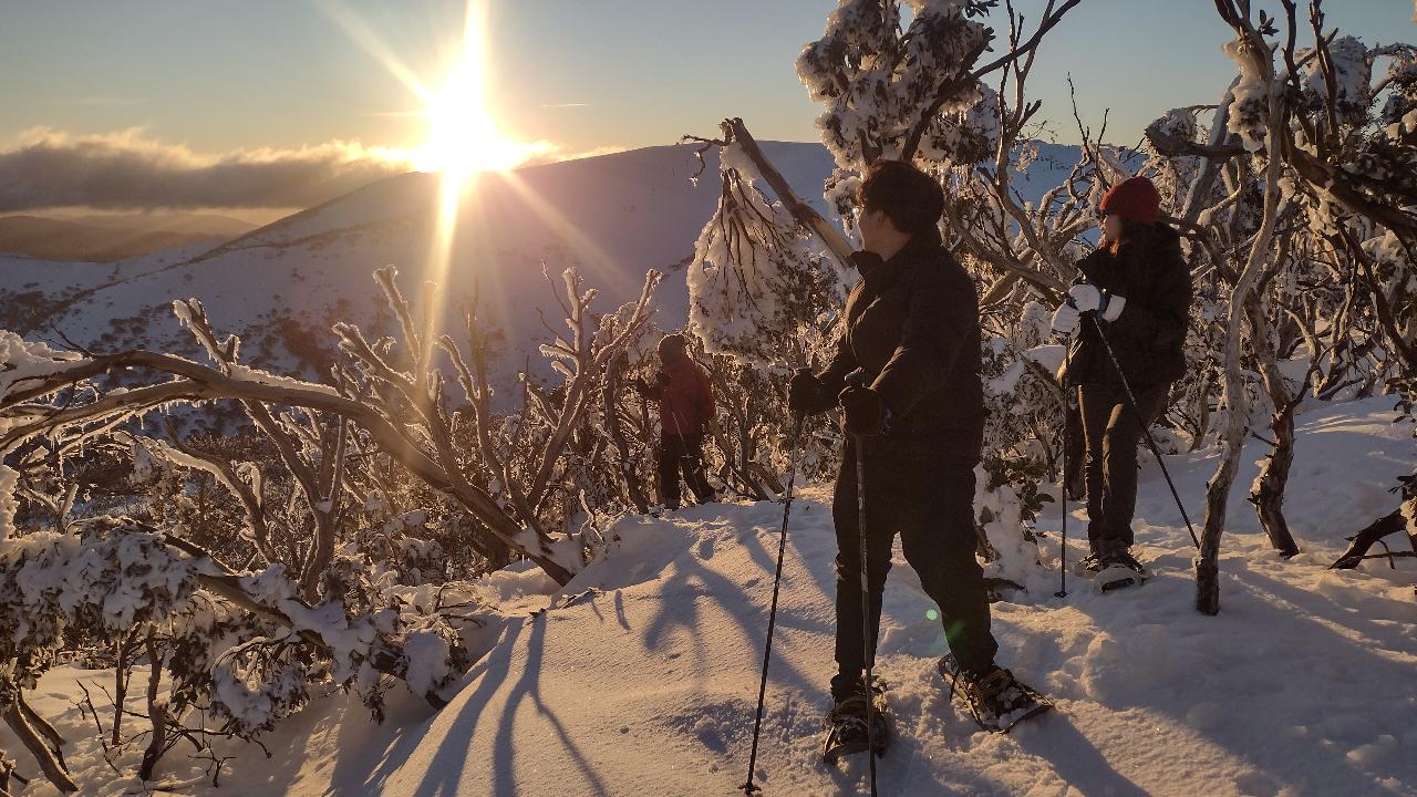 Sunset Snowshoeing Experience @ Hotham