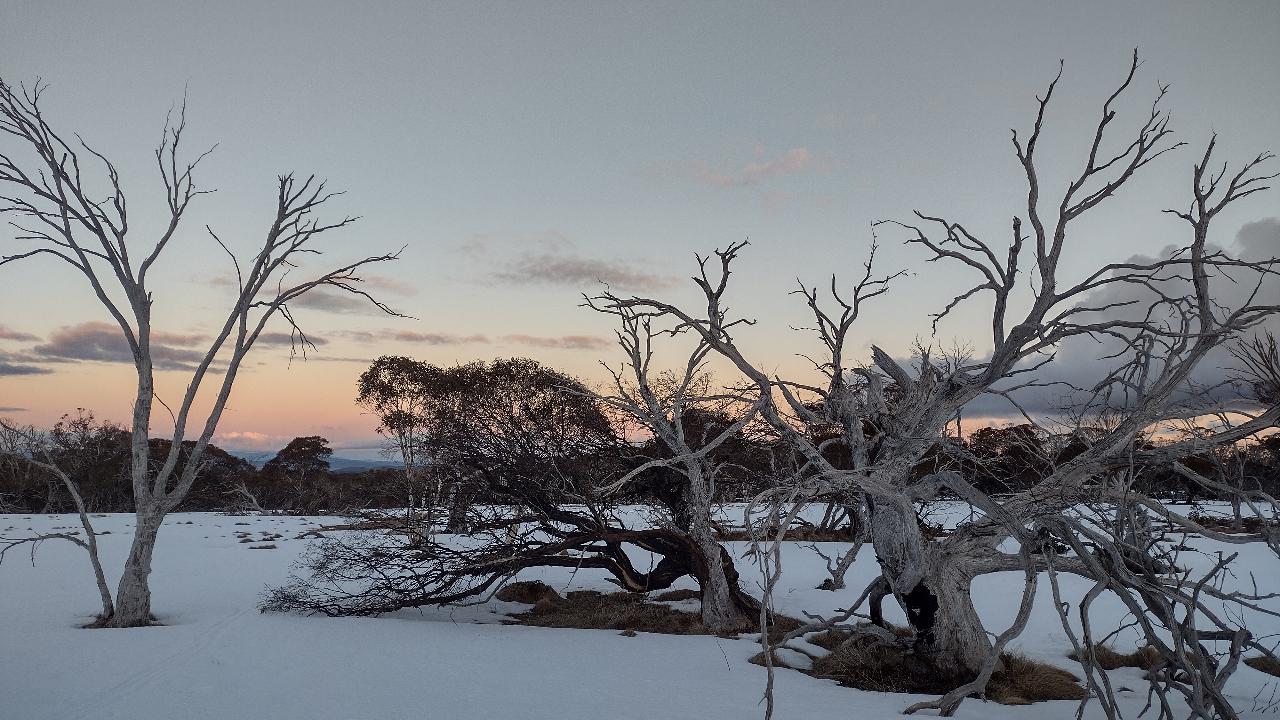 Sunset Snowshoeing Experience PRIVATE @ Dinner Plain