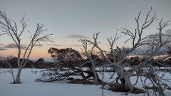 Sunset Snowshoeing Experience PRIVATE @ Dinner Plain