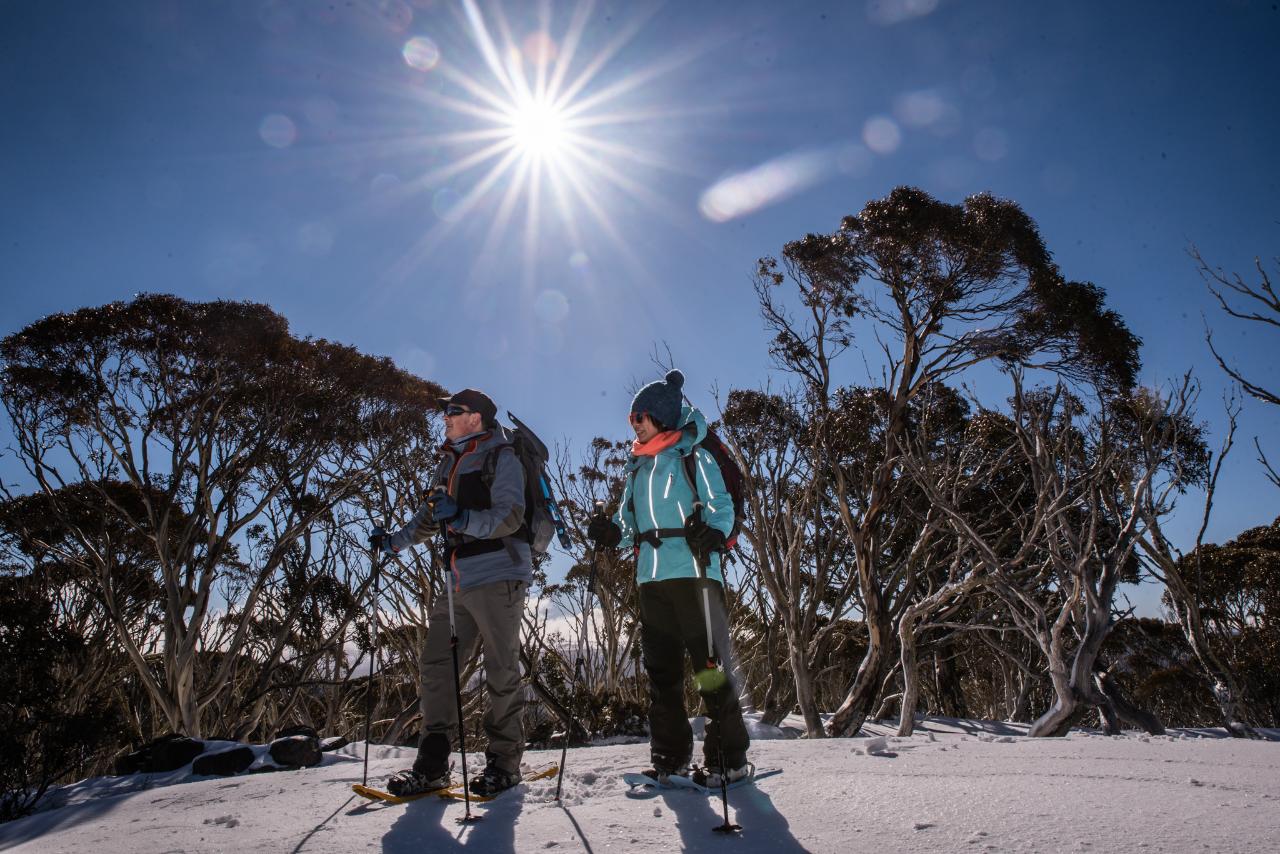 Villages Traverse Snowshoeing Expedition (DP>Hotham)