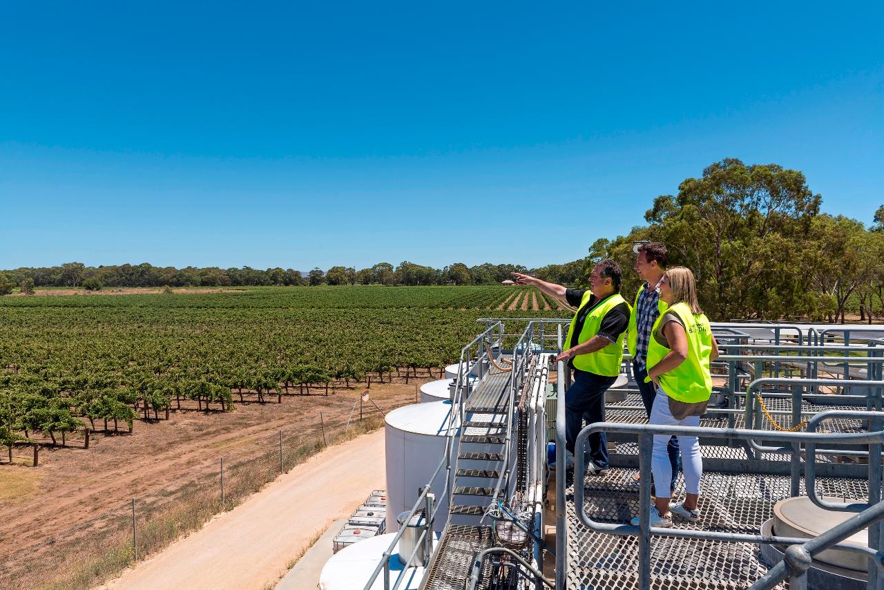 Bleasdale Vineyards Langhorne Creek Cellar Door Wine Experience Tour