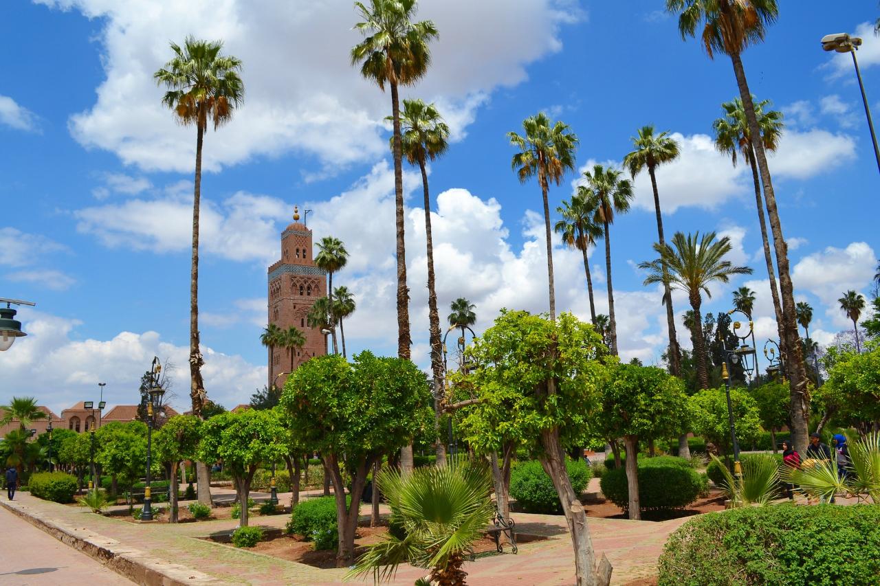 Marrakech Shore Excursion from Casablanca
