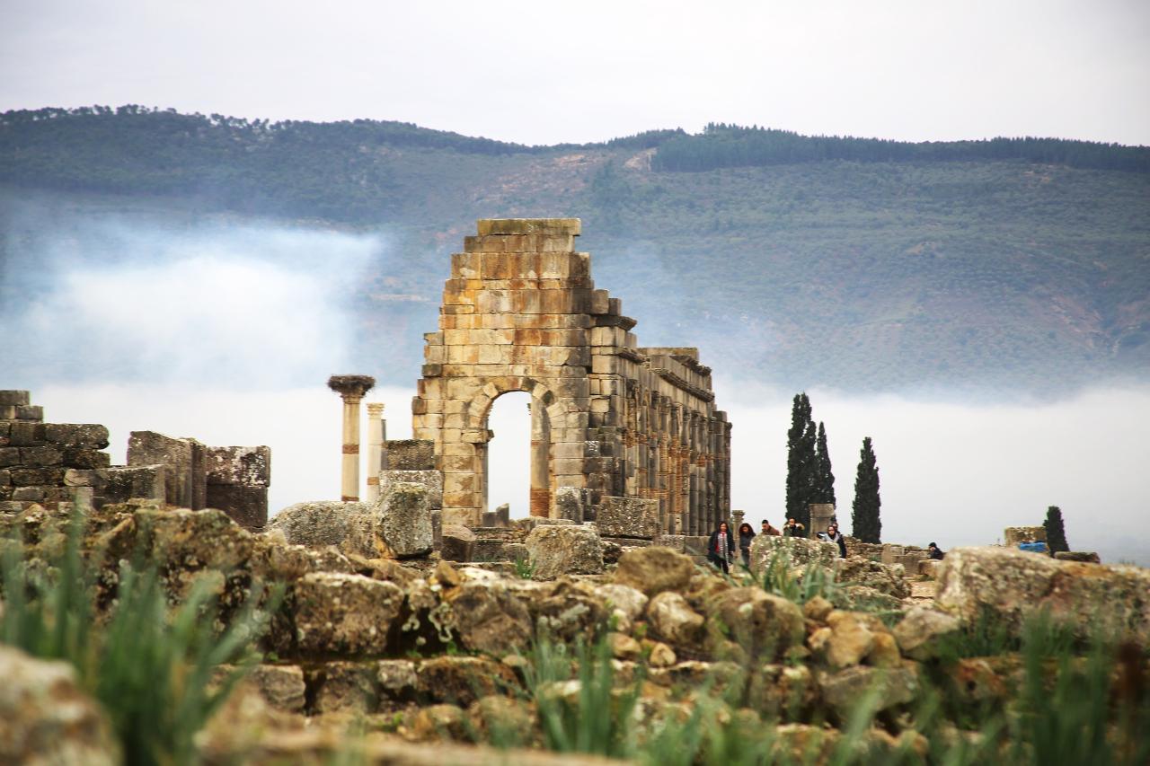 Volubilis and Meknes Day Trip from Casablanca
