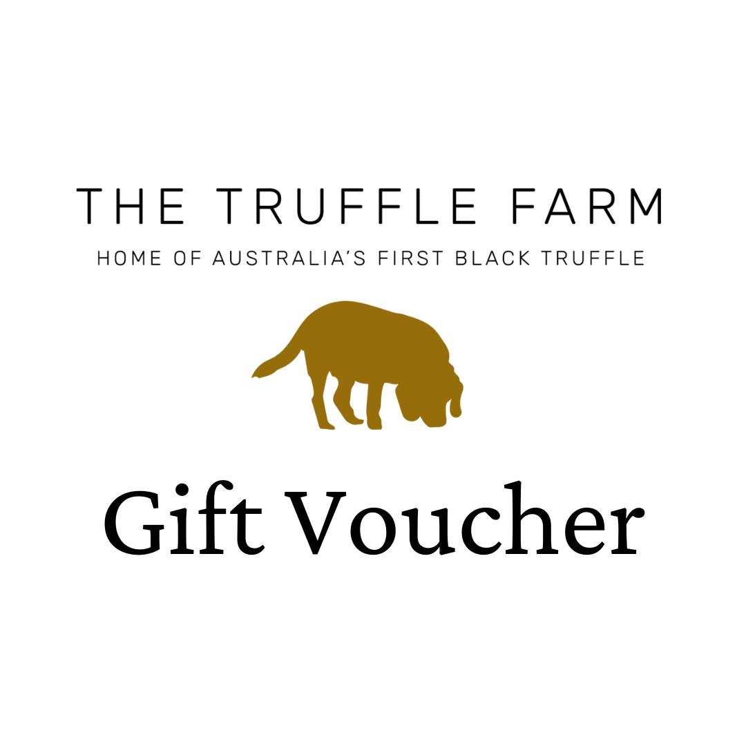 Truffle Hunt and Lunch Gift Voucher 