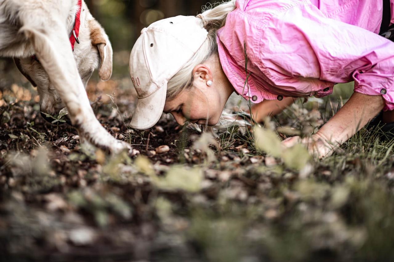 TRUFFLE HUNT