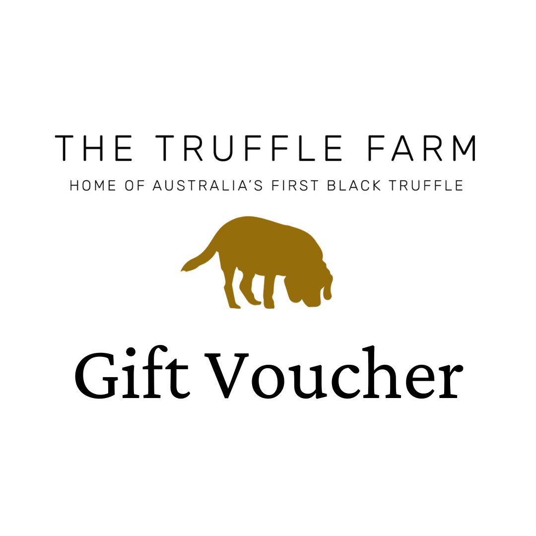$150 Gift Voucher