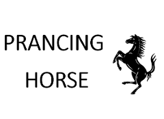 PRIVATE TOUR (PRANCING HORSE) CURATED TRUFFLE HUNT AND LUNCH (Trade Booking)