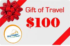 $100 Gift of Travel