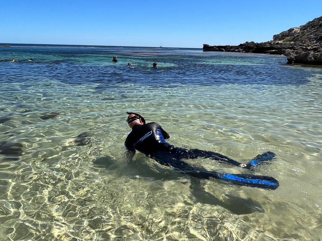 Discover Local Snorkeling in Perth