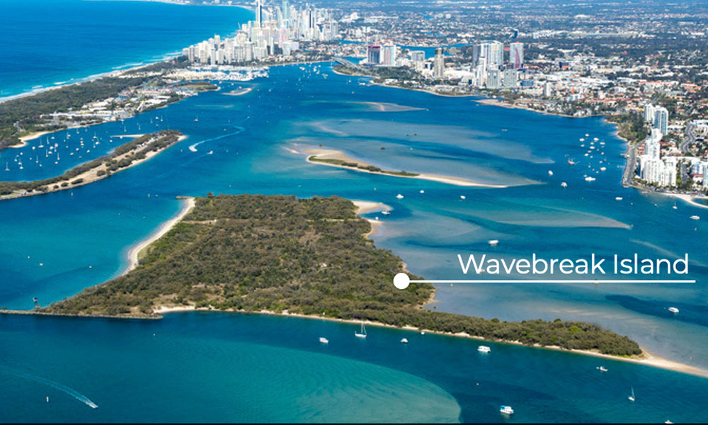 'Pelicans and Picnic' - Surfers Paradise to Wavebreak Island - Shared Tour