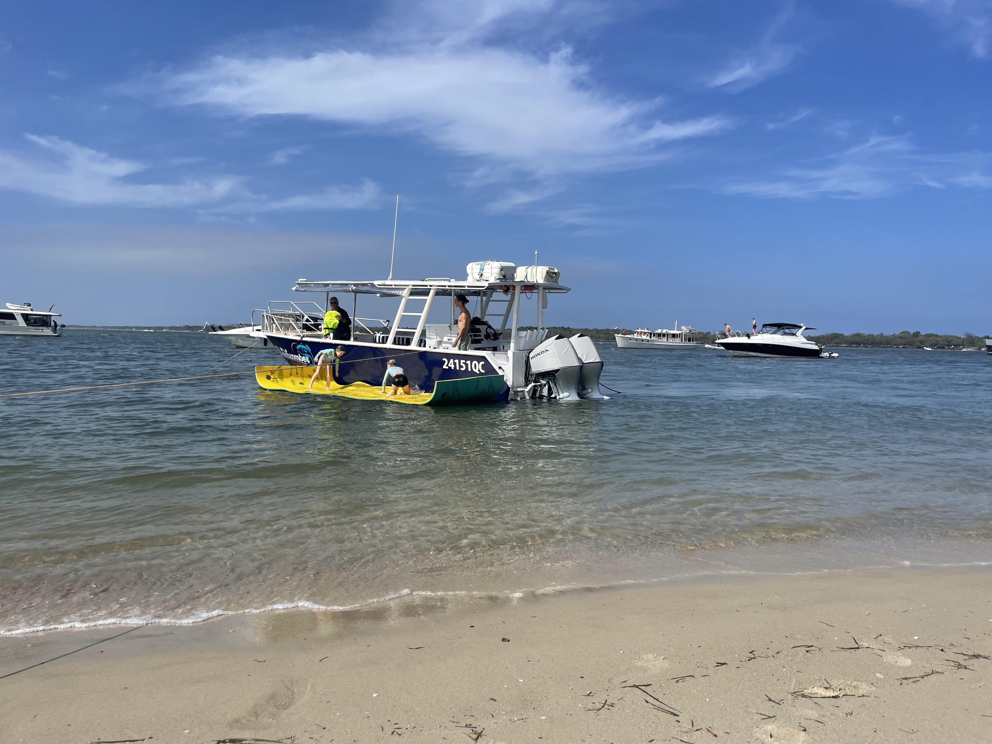 Surfers Paradise to Wavebreak Island 'Pelicans and Picnic' - Shared Tour