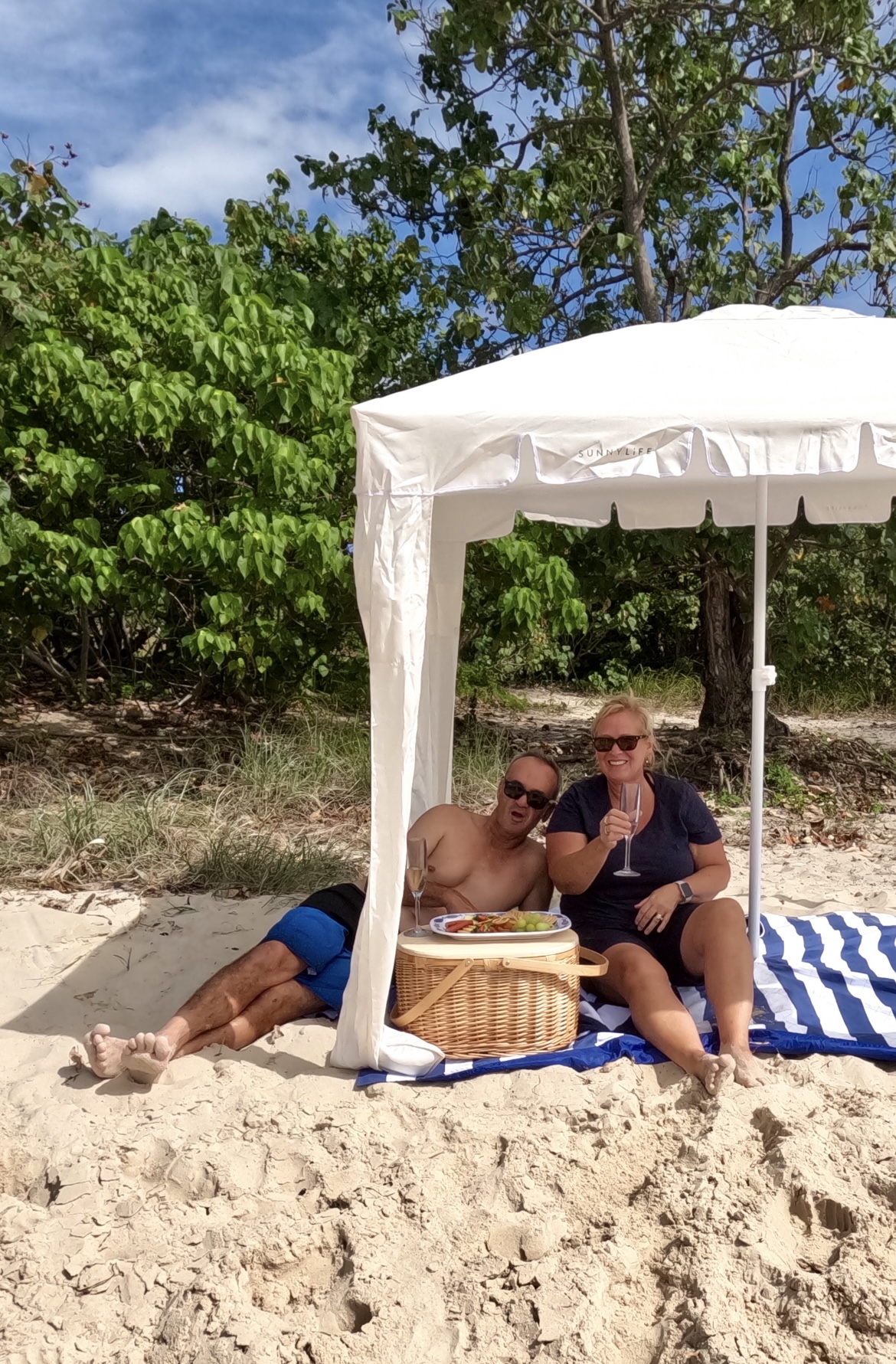 'Pelicans and Picnic' - Surfers Paradise to Wavebreak Island - Shared Tour