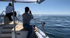 Whales & Bubbles - 2 Hour Private Whale Watching Charter