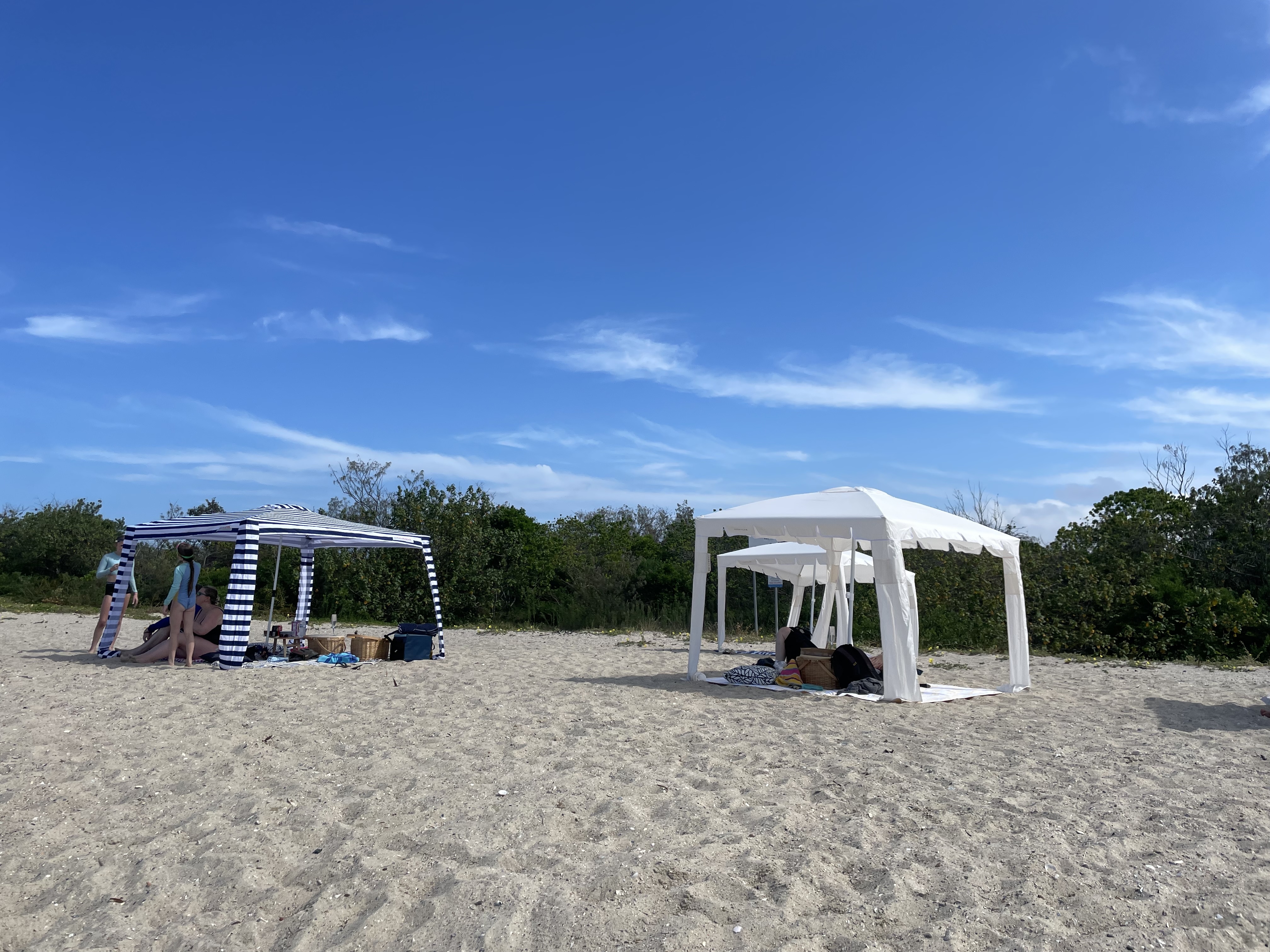 Surfers Paradise to Wavebreak Island 'Pelicans and Picnic' - Shared Tour