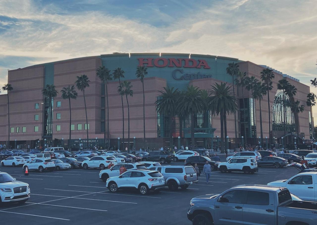 Anaheim Ducks at Honda Center