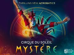 Cirque du Soleil - Mystere at Mystere Theatre At Treasure Island - Las Vegas