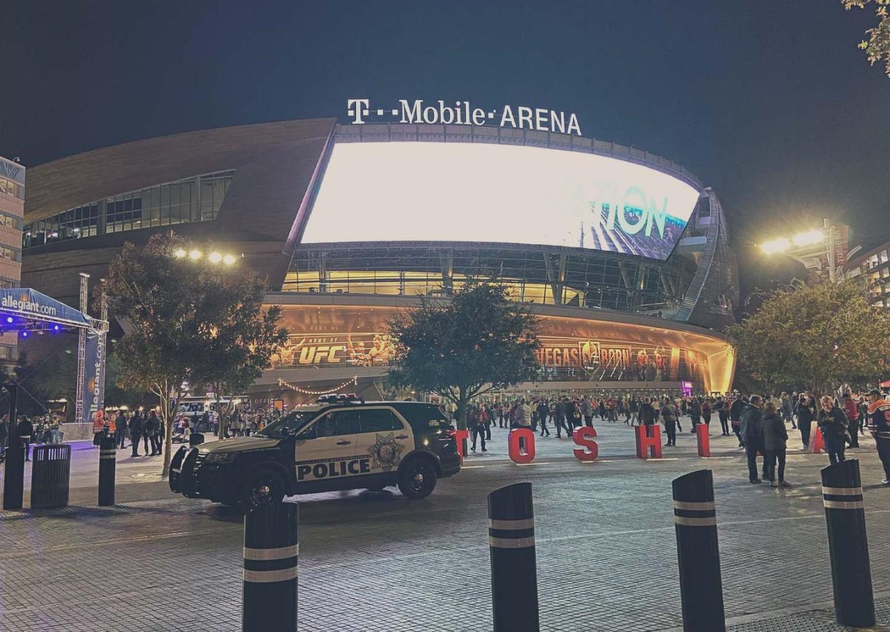 Vegas Golden Knights at T-Mobile Arena