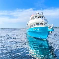 Shell Island Cruise & Dolphin Watch 
