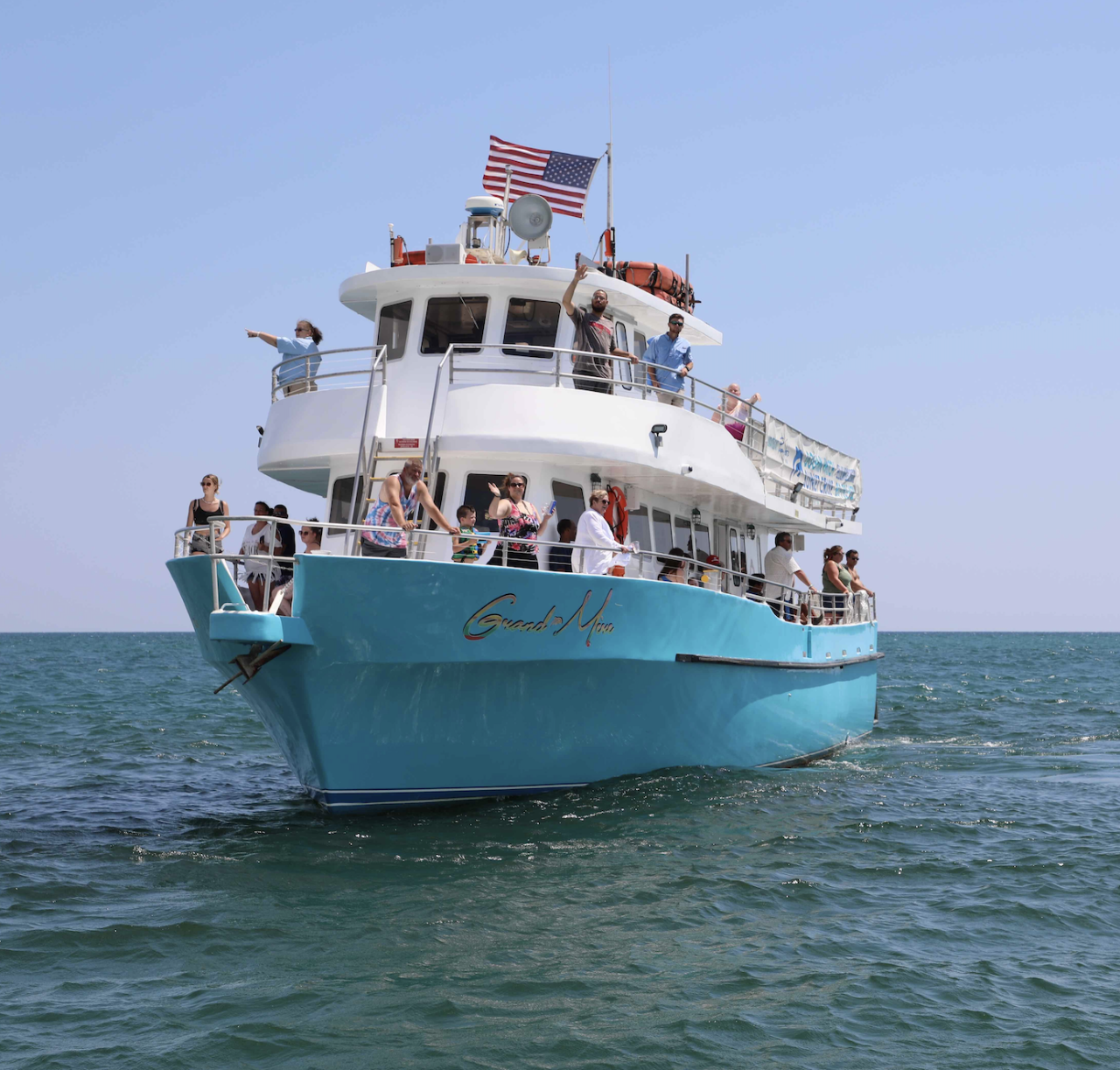 Shell Island Cruise & Dolphin Watch 