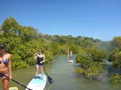 Stand Up Paddle Lesson Eco Tour 2 Hour - Rainbow beach